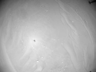 View image taken on Mars, Mars Helicopter Sol 990: Navigation Camera