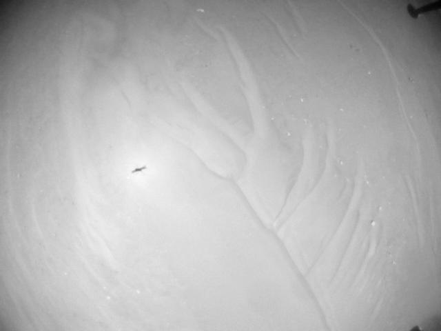 This image was taken by HELI_NAV onboard NASA's Mars rover Perseverance on Sol 990