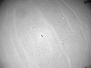 View image taken on Mars, Mars Helicopter Sol 990: Navigation Camera