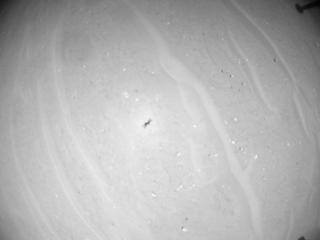 View image taken on Mars, Mars Helicopter Sol 990: Navigation Camera