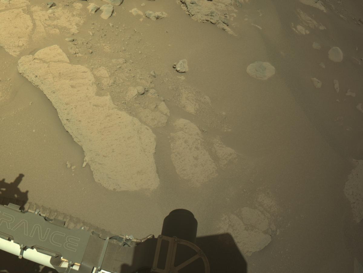 This image was taken by NAVCAM_LEFT onboard NASA's Mars rover Perseverance on Sol 991