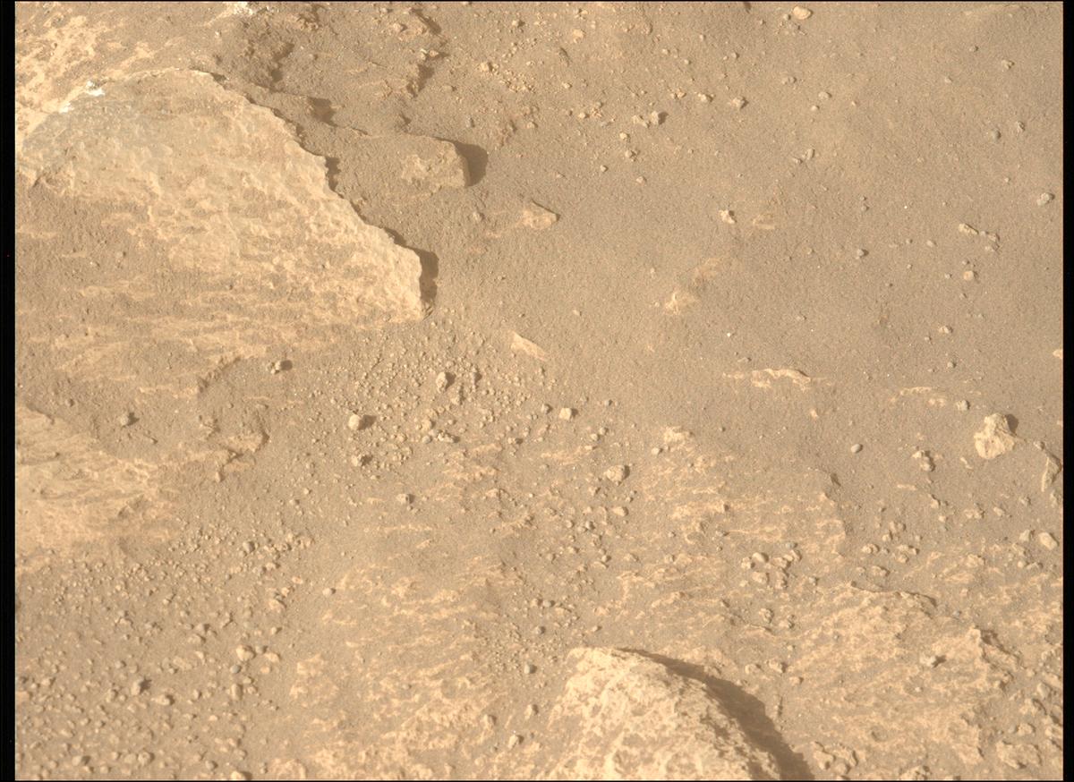 This image was taken by MCZ_LEFT onboard NASA's Mars rover Perseverance on Sol 991