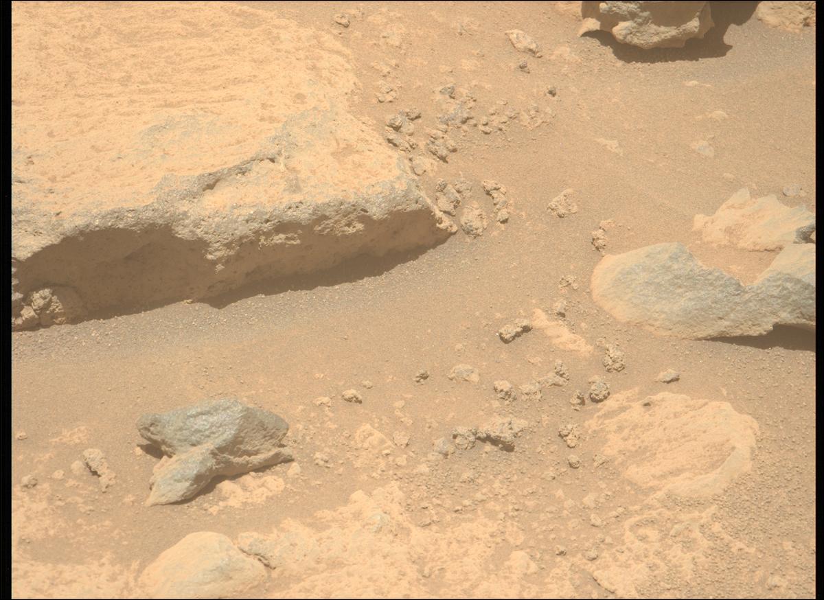 This image was taken by MCZ_LEFT onboard NASA's Mars rover Perseverance on Sol 993