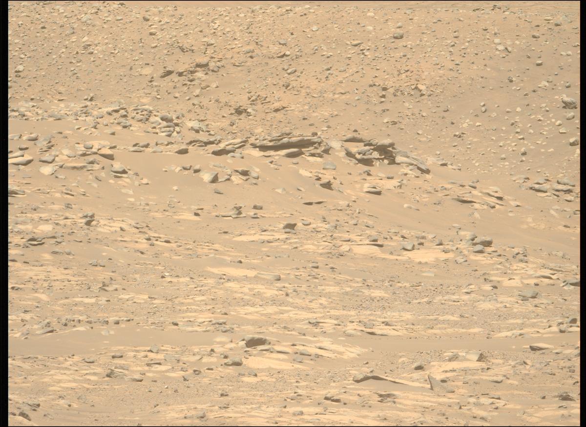 This image was taken by MCZ_LEFT onboard NASA's Mars rover Perseverance on Sol 994