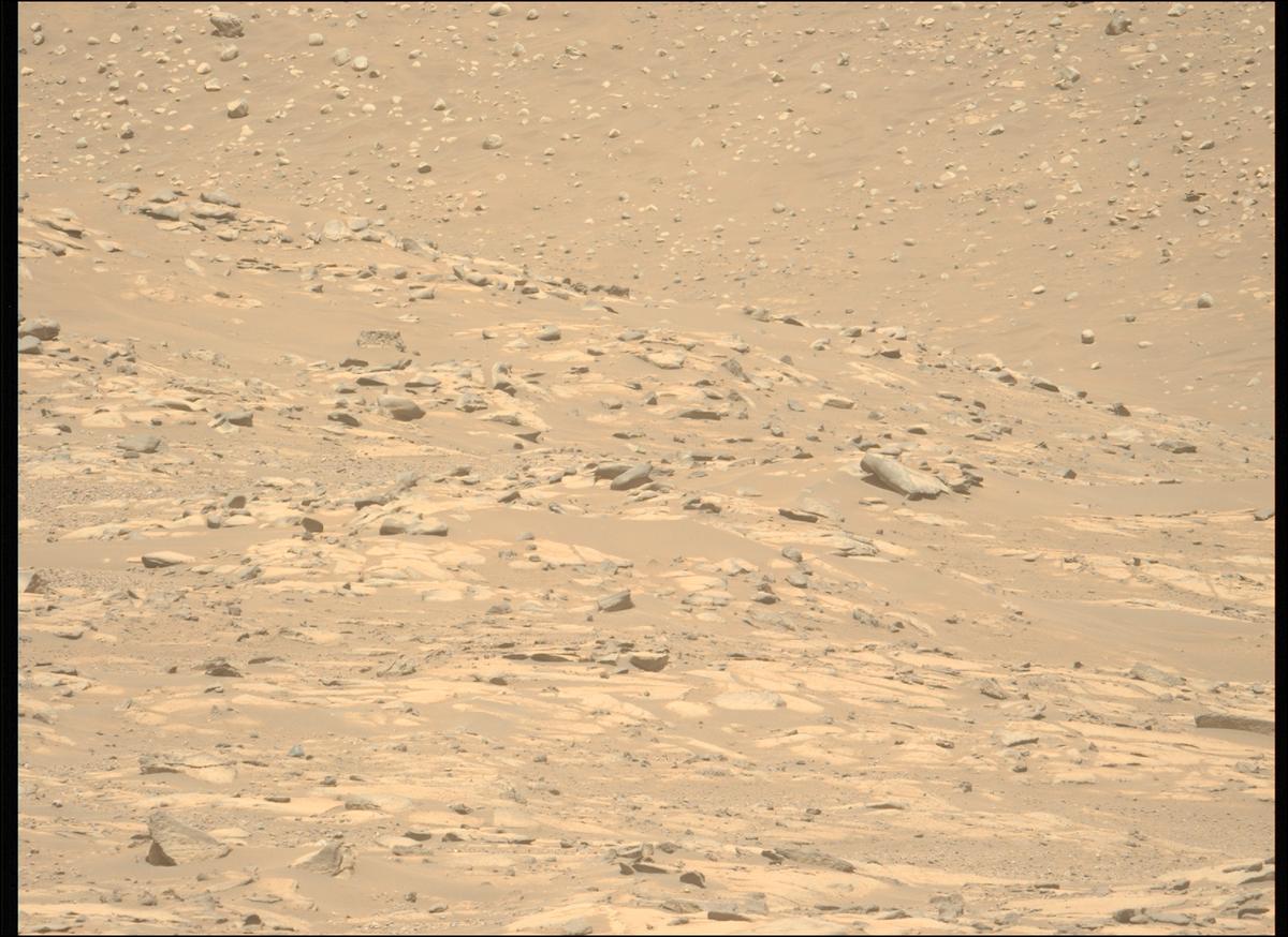 This image was taken by MCZ_LEFT onboard NASA's Mars rover Perseverance on Sol 994