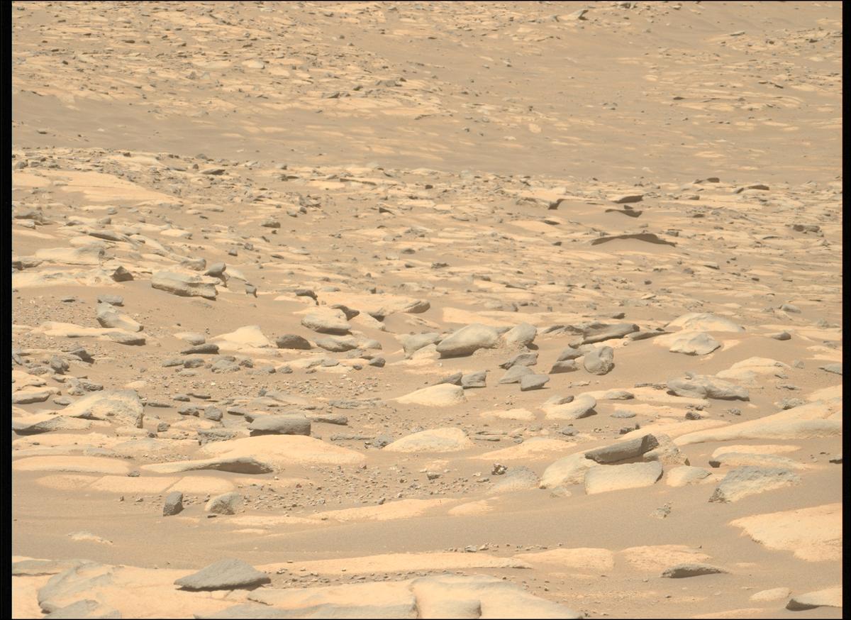 This image was taken by MCZ_LEFT onboard NASA's Mars rover Perseverance on Sol 994
