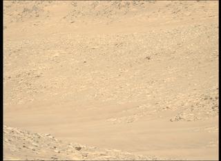 View image taken on Mars, Mars Perseverance Sol 995: Left Mastcam-Z Camera