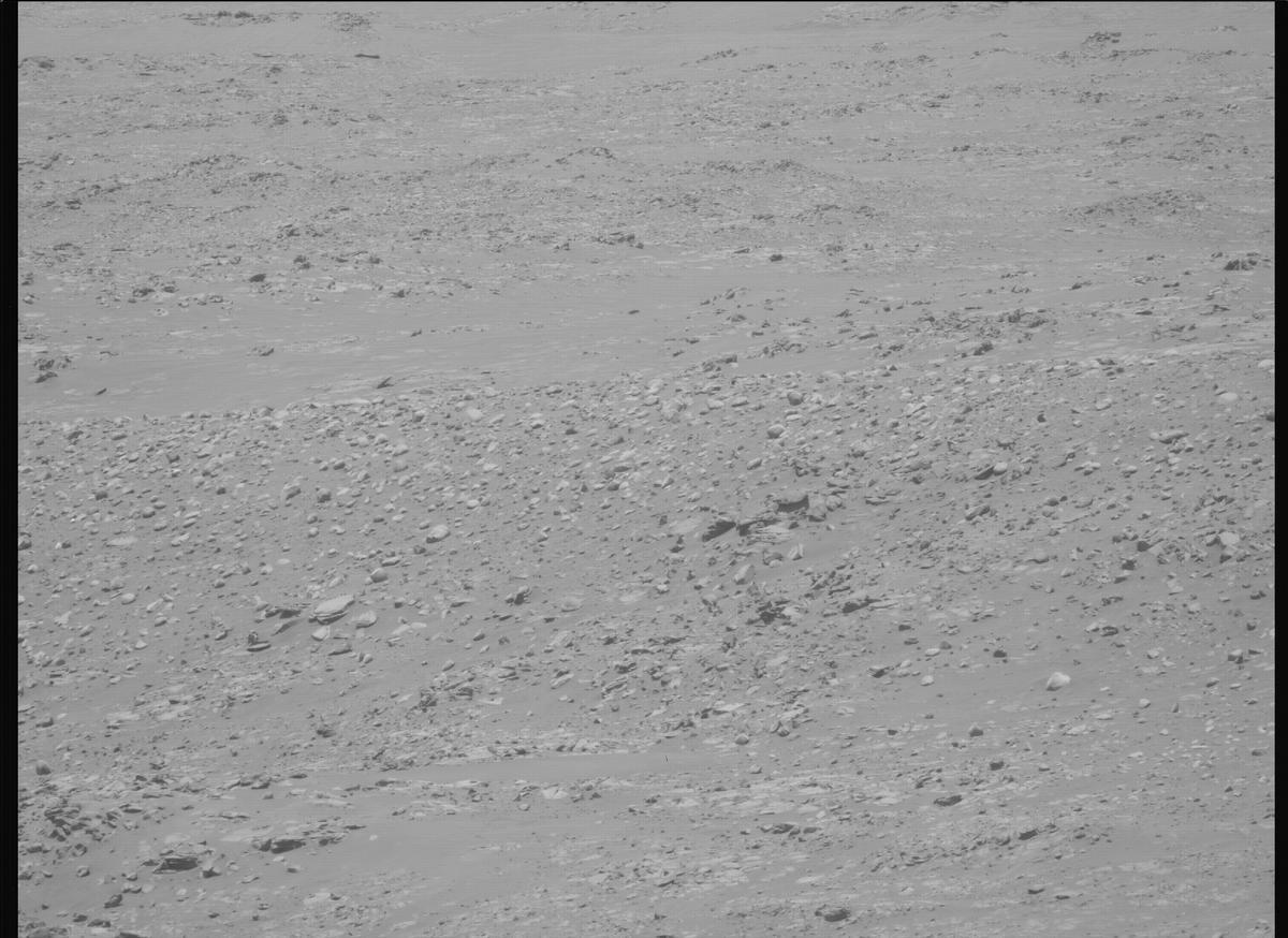 This image was taken by MCZ_LEFT onboard NASA's Mars rover Perseverance on Sol 995