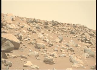 View image taken on Mars, Mars Perseverance Sol 995: Left Mastcam-Z Camera