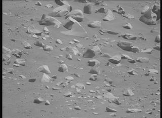View image taken on Mars, Mars Perseverance Sol 995: Left Mastcam-Z Camera
