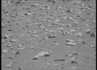 View image taken on Mars, Mars Perseverance Sol 995: Left Mastcam-Z Camera