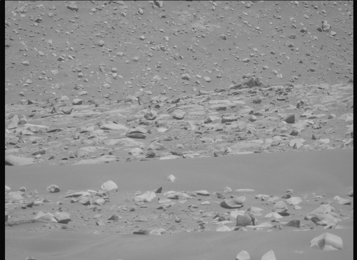 This image was taken by MCZ_LEFT onboard NASA's Mars rover Perseverance on Sol 995