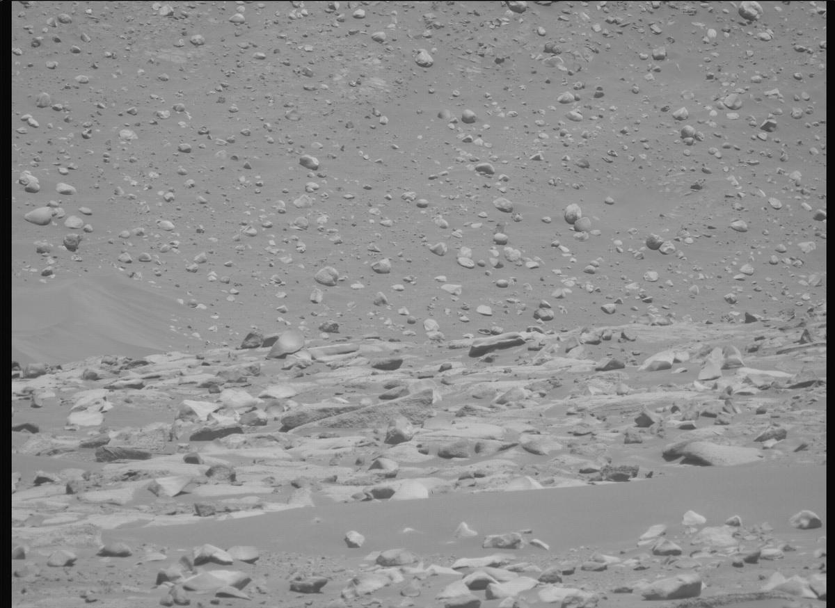 This image was taken by MCZ_LEFT onboard NASA's Mars rover Perseverance on Sol 995