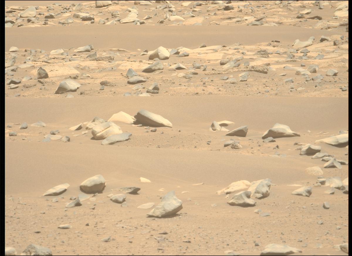 This image was taken by MCZ_LEFT onboard NASA's Mars rover Perseverance on Sol 995