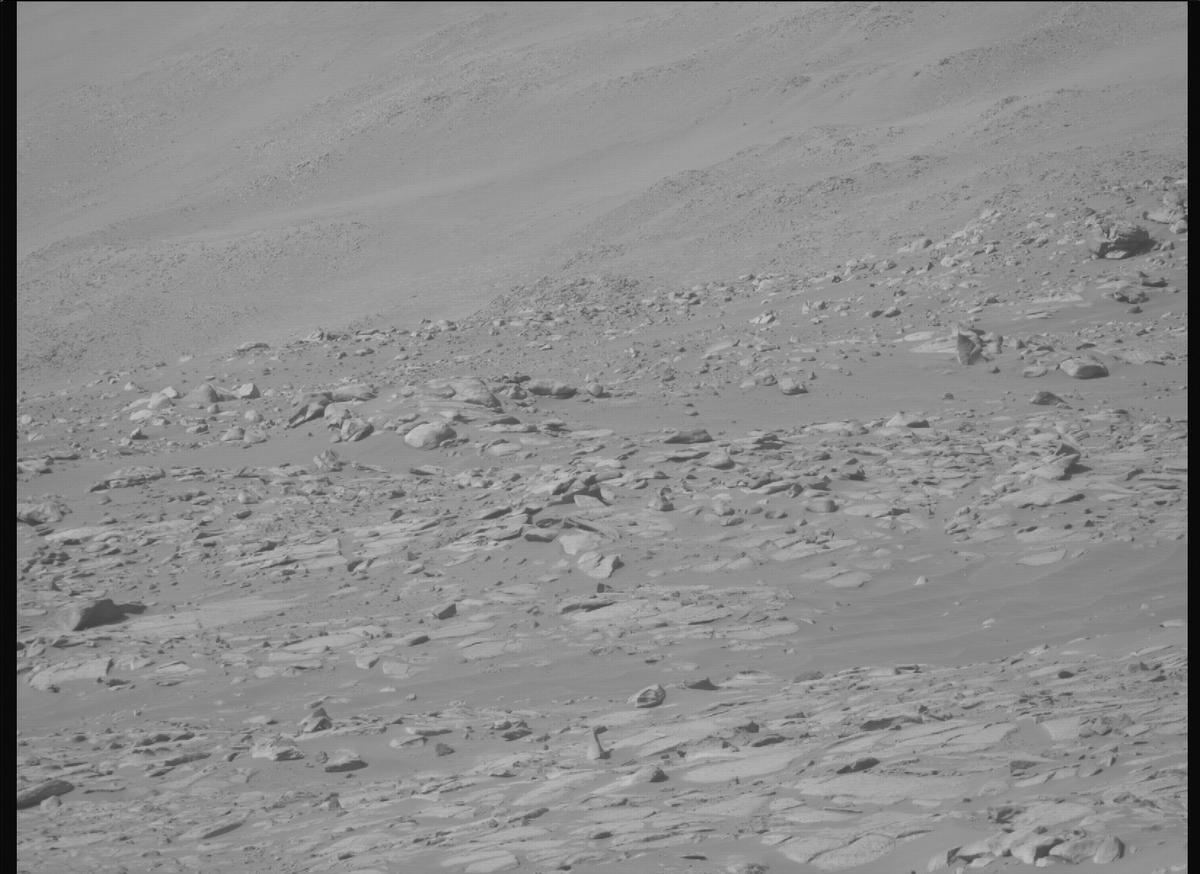 This image was taken by MCZ_RIGHT onboard NASA's Mars rover Perseverance on Sol 995