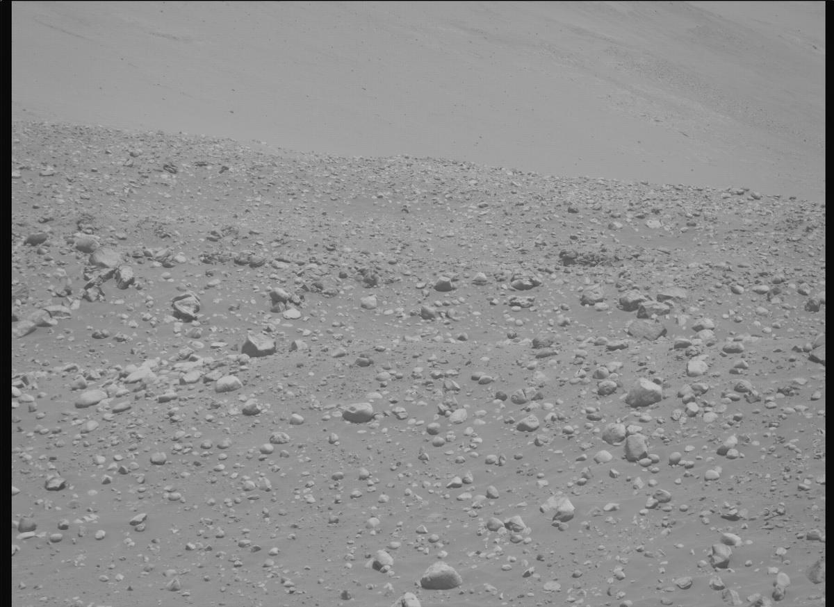 This image was taken by MCZ_RIGHT onboard NASA's Mars rover Perseverance on Sol 995