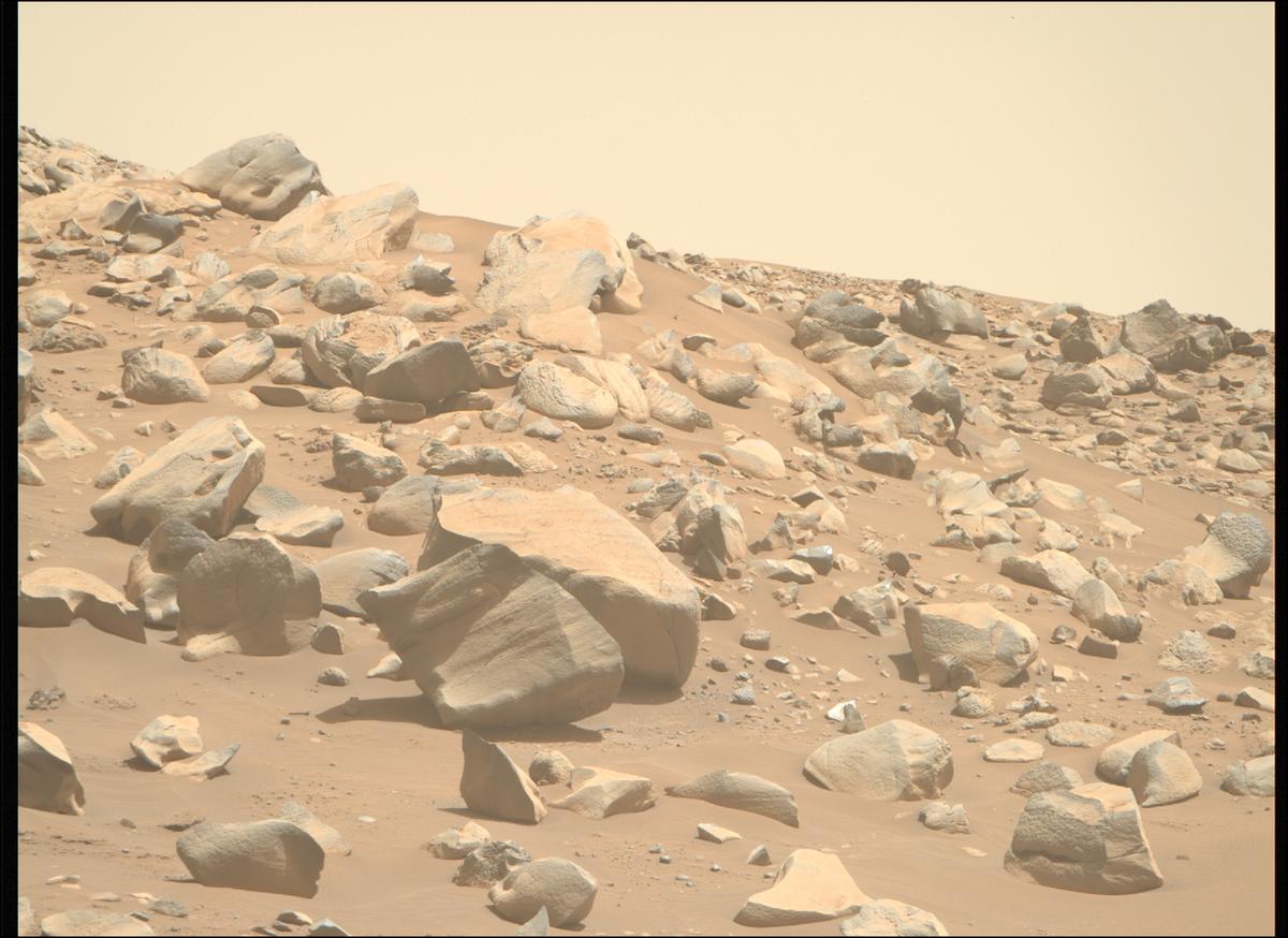 This image was taken by MCZ_RIGHT onboard NASA's Mars rover Perseverance on Sol 995