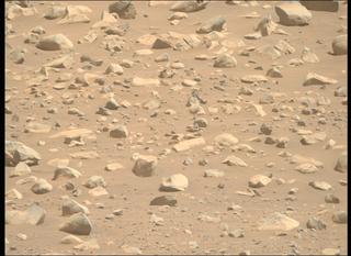 View image taken on Mars, Mars Perseverance Sol 995: Right Mastcam-Z Camera