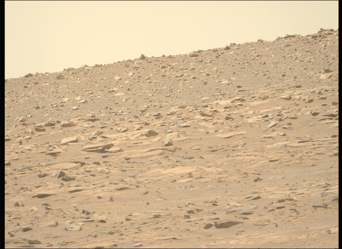 This image was taken by MCZ_LEFT onboard NASA's Mars rover Perseverance on Sol 996
