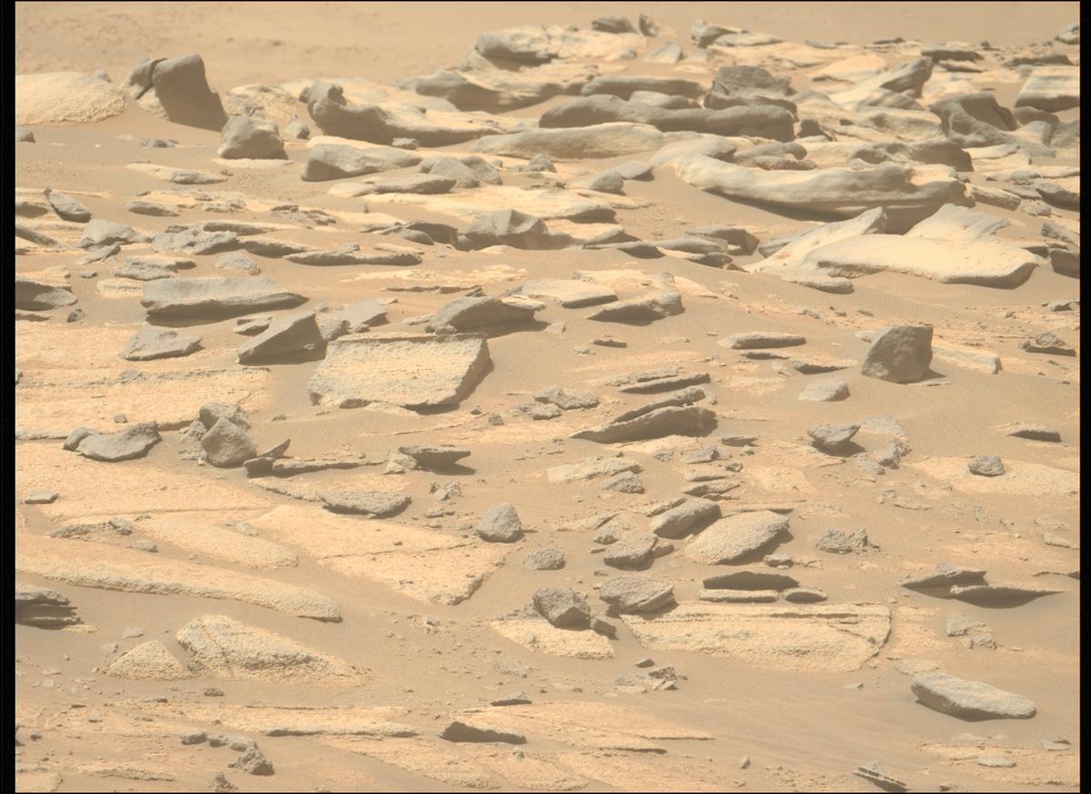 This image was taken by MCZ_LEFT onboard NASA's Mars rover Perseverance on Sol 998