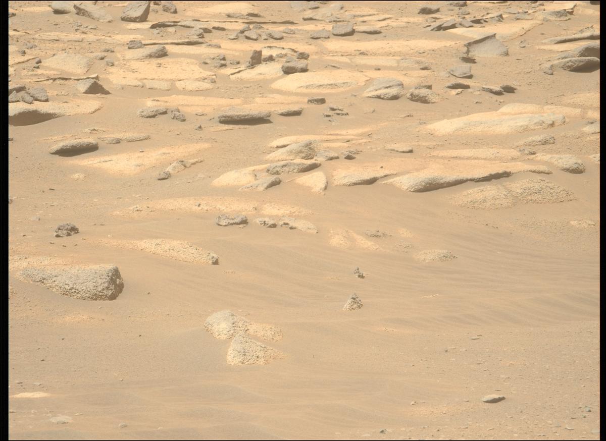 This image was taken by MCZ_LEFT onboard NASA's Mars rover Perseverance on Sol 998