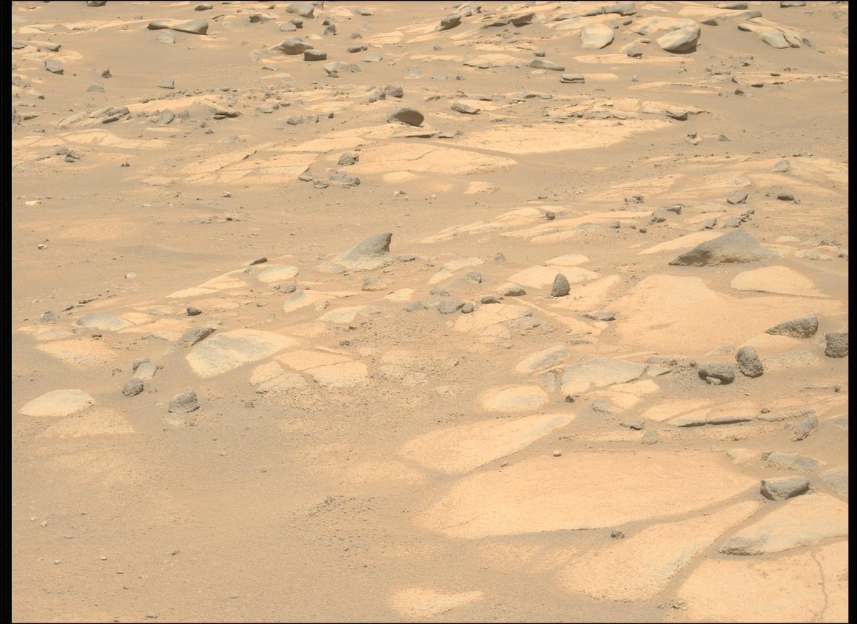 This image was taken by MCZ_LEFT onboard NASA's Mars rover Perseverance on Sol 998