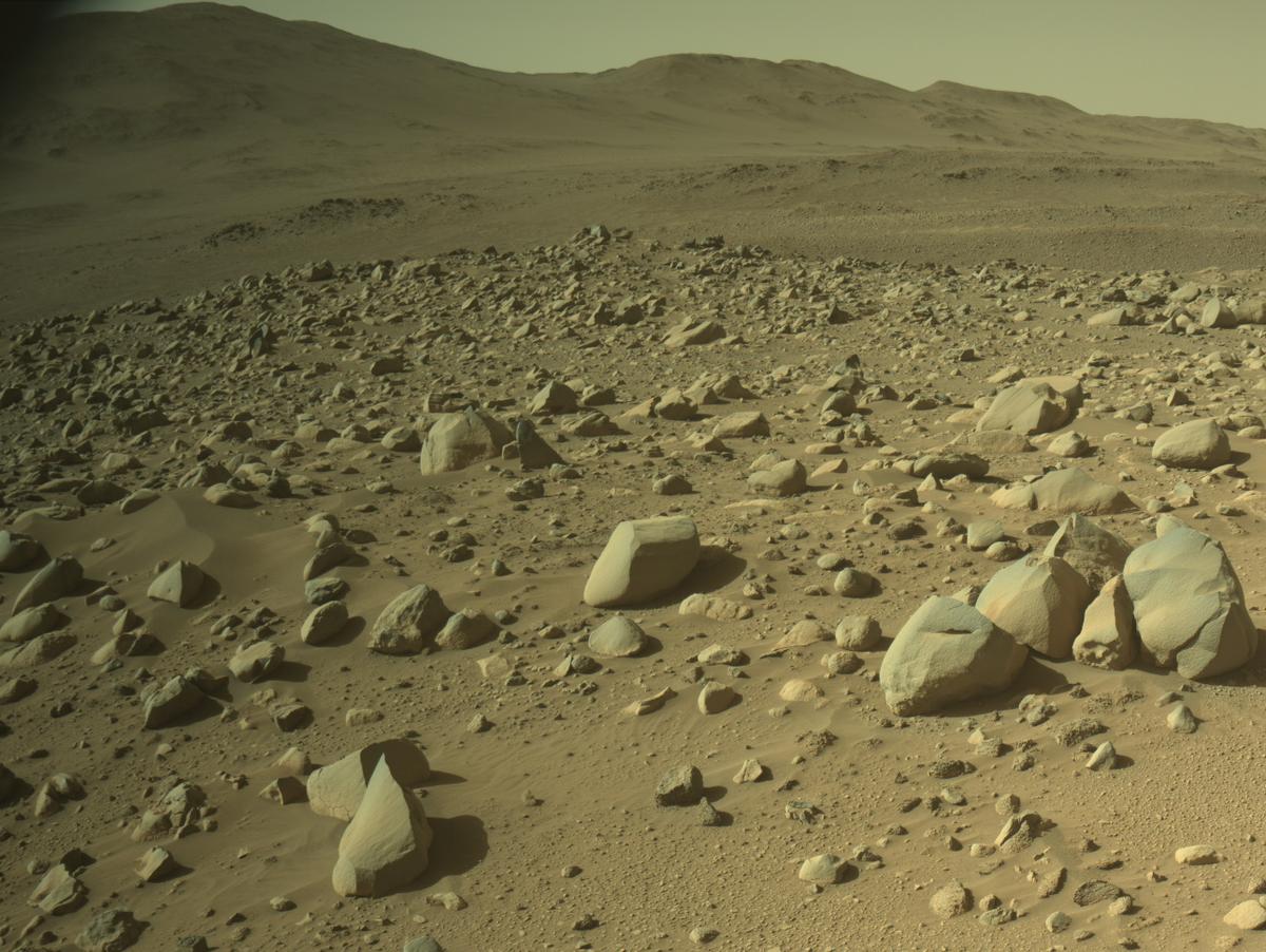 This image was taken by NAVCAM_LEFT onboard NASA's Mars rover Perseverance on Sol 999