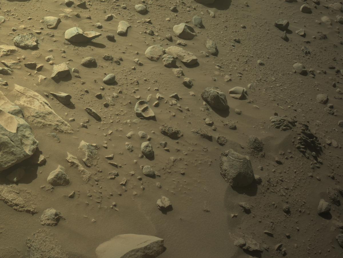 This image was taken by NAVCAM_RIGHT onboard NASA's Mars rover Perseverance on Sol 999