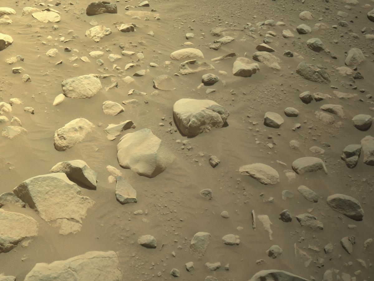 This image was taken by NAVCAM_RIGHT onboard NASA's Mars rover Perseverance on Sol 1000