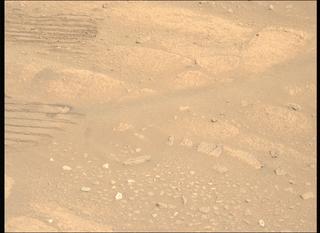 View image taken on Mars, Mars Perseverance Sol 1002: Left Mastcam-Z Camera