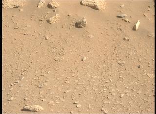 View image taken on Mars, Mars Perseverance Sol 1002: Left Mastcam-Z Camera
