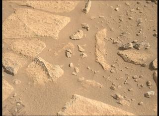 View image taken on Mars, Mars Perseverance Sol 1002: Left Mastcam-Z Camera