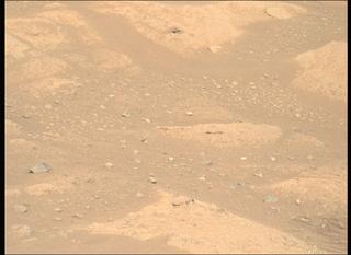 View image taken on Mars, Mars Perseverance Sol 1002: Right Mastcam-Z Camera