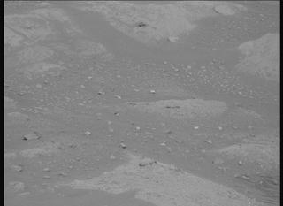 View image taken on Mars, Mars Perseverance Sol 1002: Right Mastcam-Z Camera
