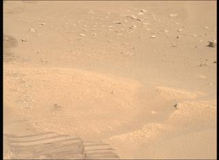 View image taken on Mars, Mars Perseverance Sol 1002: Right Mastcam-Z Camera