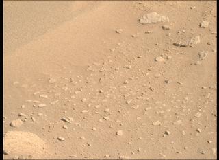 View image taken on Mars, Mars Perseverance Sol 1002: Right Mastcam-Z Camera