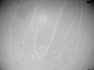 View image taken on Mars, Mars Helicopter Sol 1003: Navigation Camera