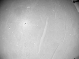 View image taken on Mars, Mars Helicopter Sol 1003: Navigation Camera