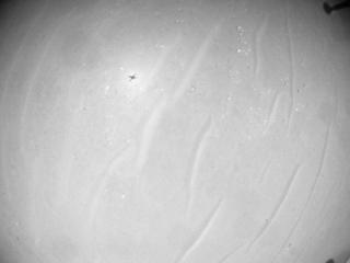 View image taken on Mars, Mars Helicopter Sol 1003: Navigation Camera