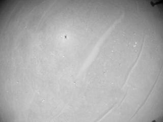 View image taken on Mars, Mars Helicopter Sol 1003: Navigation Camera