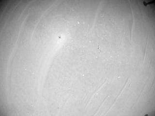 View image taken on Mars, Mars Helicopter Sol 1003: Navigation Camera