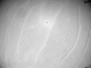 View image taken on Mars, Mars Helicopter Sol 1003: Navigation Camera