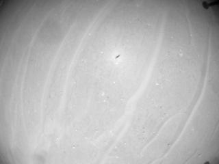 View image taken on Mars, Mars Helicopter Sol 1003: Navigation Camera