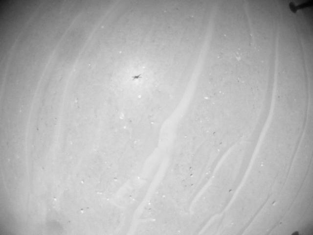 This image was taken by HELI_NAV onboard NASA's Mars rover Perseverance on Sol 1003