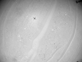 View image taken on Mars, Mars Helicopter Sol 1003: Navigation Camera