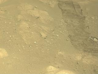 View image taken on Mars, Mars Perseverance Sol 1003: Left Navigation Camera (Navcam)