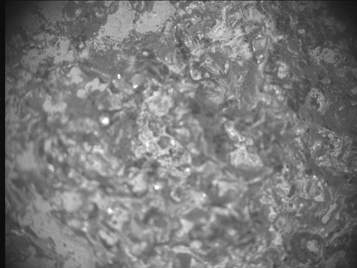 This image was taken by SHERLOC_ACI onboard NASA's Mars rover Perseverance on Sol 1003