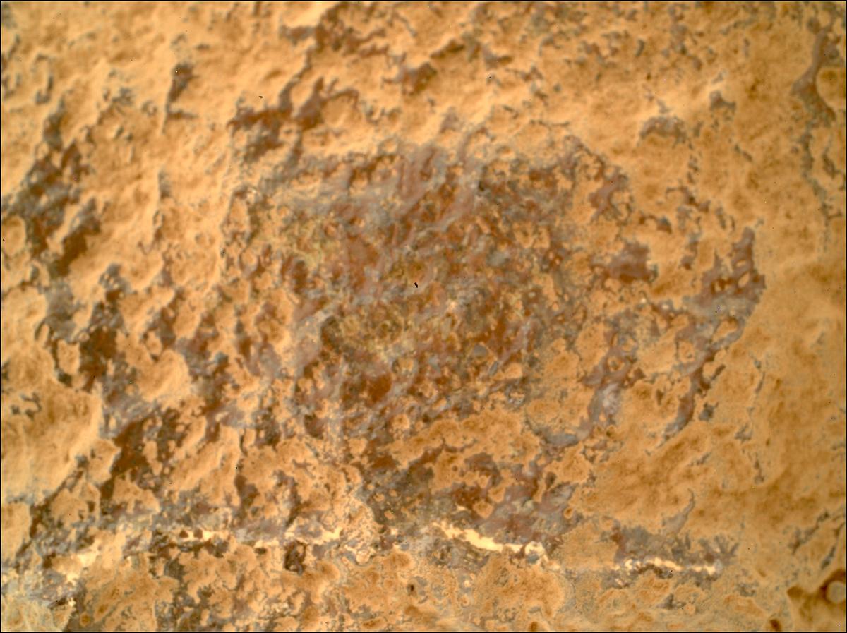 This image was taken by SHERLOC_WATSON onboard NASA's Mars rover Perseverance on Sol 1003