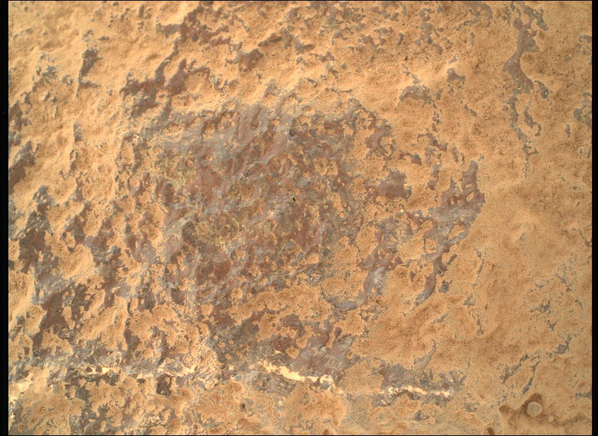 This image was taken by SHERLOC_WATSON onboard NASA's Mars rover Perseverance on Sol 1003
