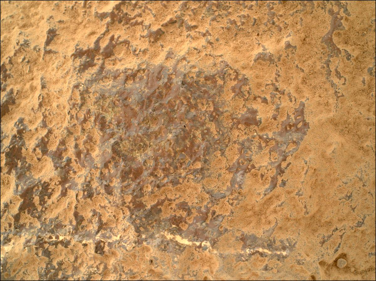 This image was taken by SHERLOC_WATSON onboard NASA's Mars rover Perseverance on Sol 1003